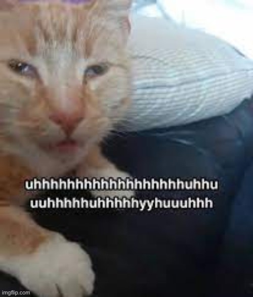 uhhhhhhhhhhhhhhhhhhhhhhuhhuuhhhhhhh | image tagged in uhhhhhhhhhhhhhhhhhhhhhhuhhuuhhhhhhh | made w/ Imgflip meme maker