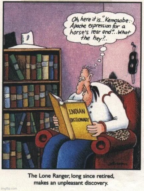 All this time he thought it meant “friend”… | image tagged in the far side,lone ranger,tonto,discovery,insult | made w/ Imgflip meme maker