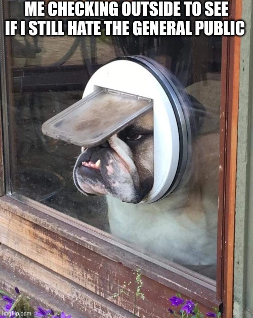 Me Checking Outside To See If I Still Hate The General Public | ME CHECKING OUTSIDE TO SEE IF I STILL HATE THE GENERAL PUBLIC | image tagged in chrisjoines1 | made w/ Imgflip meme maker
