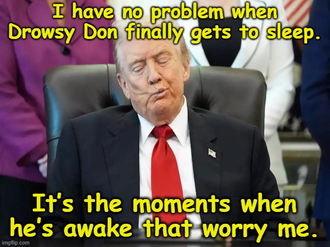 Let tRump Sleep! | I have no problem when Drowsy Don finally gets to sleep. It’s the moments when he’s awake that worry me. | image tagged in nevertrump meme,donald trump the clown,donald trump you're fired,maga,time magazine person of the year,rest in peace | made w/ Imgflip meme maker