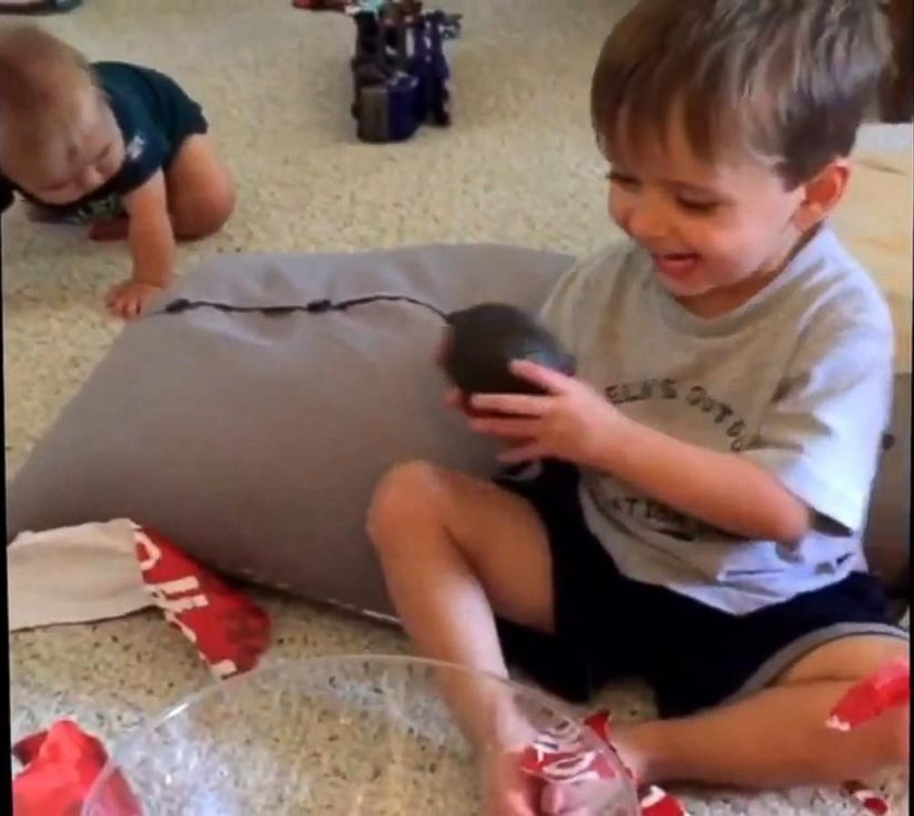 High Quality It's an avocado, thanks Blank Meme Template