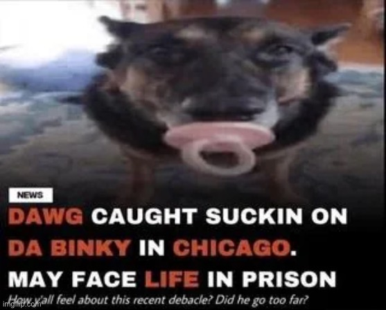 made w/ Imgflip meme maker