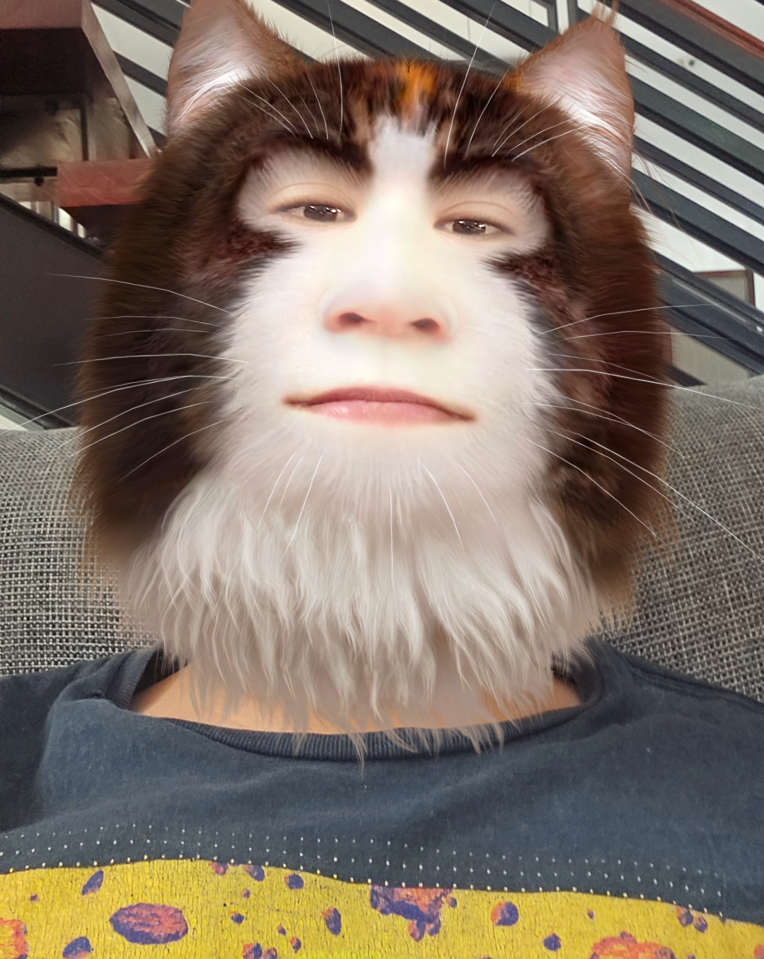 Pushy Catt Blank Meme Template