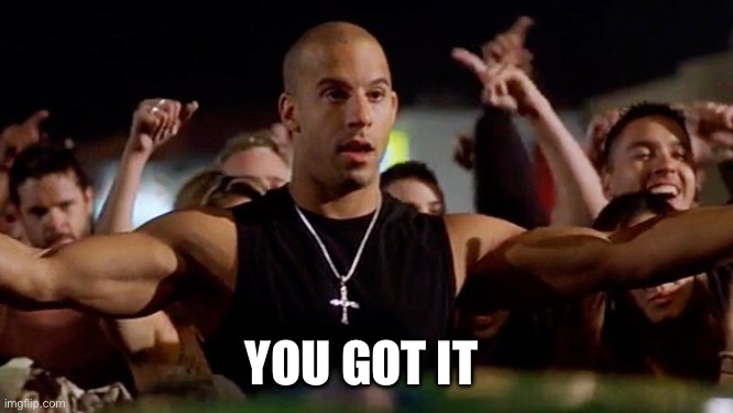 vin diesel 01 | YOU GOT IT | image tagged in vin diesel 01 | made w/ Imgflip meme maker