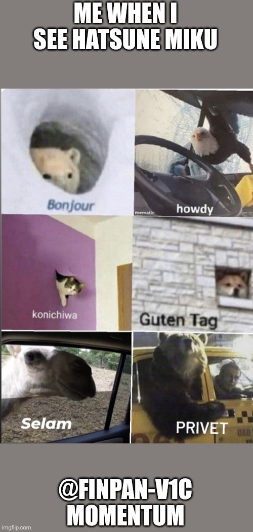 lol | ME WHEN I SEE HATSUNE MIKU; @FINPAN-V1C MOMENTUM | image tagged in bonjour howdy konichiwa guten tag selam privet | made w/ Imgflip meme maker