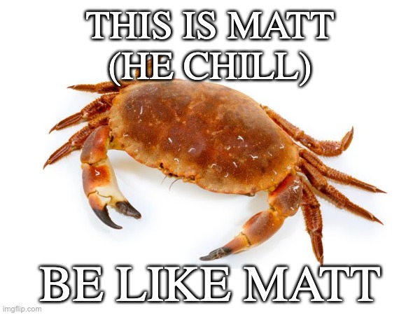 matt | THIS IS MATT
(HE CHILL); BE LIKE MATT | image tagged in matt,idk what to put here,oh wow are you actually reading these tags,you have been eternally cursed for reading the tags | made w/ Imgflip meme maker