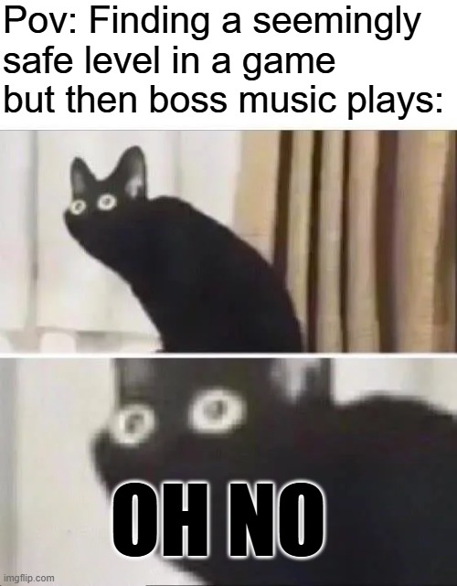 Day 3 of posting cat memes | Pov: Finding a seemingly safe level in a game but then boss music plays:; OH NO | image tagged in oh no black cat | made w/ Imgflip meme maker