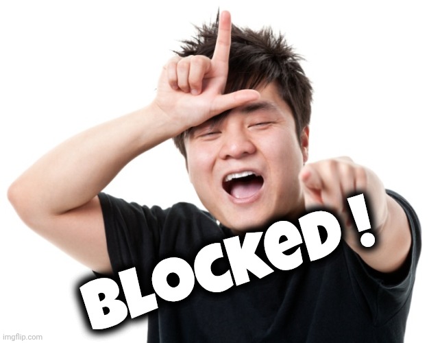 You're a loser | Blocked ! | image tagged in you're a loser | made w/ Imgflip meme maker