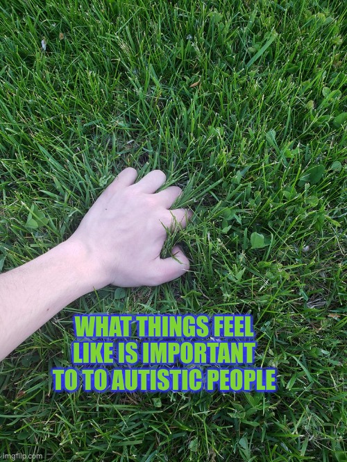 What things feel like is important to to autistic people | WHAT THINGS FEEL LIKE IS IMPORTANT TO TO AUTISTIC PEOPLE | image tagged in touching grass,touch,autism,sensitivities,stress,christmas | made w/ Imgflip meme maker