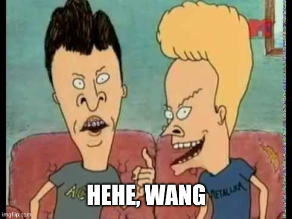 Beavis & Butt-Head he said | HEHE, WANG | image tagged in beavis butt-head he said | made w/ Imgflip meme maker