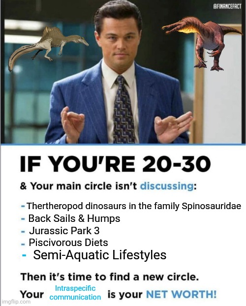 Just another part of the Grind | Thertheropod dinosaurs in the family Spinosauridae; Back Sails & Humps; Jurassic Park 3; Piscivorous Diets; Semi-Aquatic Lifestyles; -; Intraspecific communication | image tagged in your network is your network,memes,dinosaurs,relatable memes,funny memes,lol | made w/ Imgflip meme maker