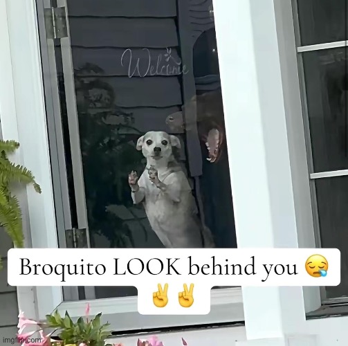 anyone else hate 67? ?✌? | image tagged in broquito,dinosaur,tags,image tags,aint no way | made w/ Imgflip meme maker