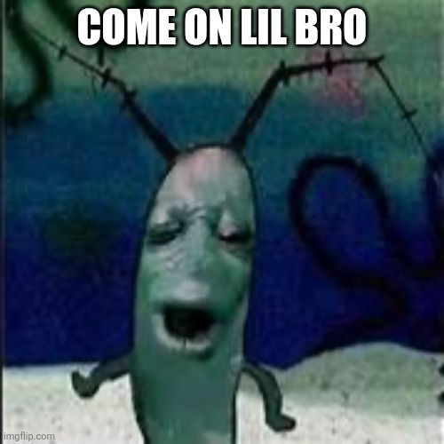 Plankton gets served | COME ON LIL BRO | image tagged in plankton gets served | made w/ Imgflip meme maker