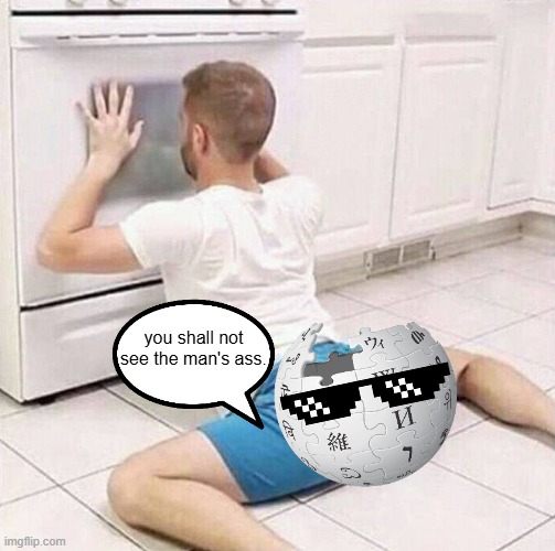 Man Checking Oven | you shall not see the man's ass. | image tagged in man checking oven | made w/ Imgflip meme maker
