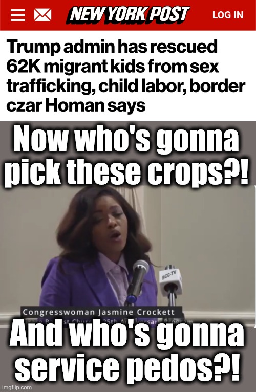 TERRIBLE news for libs! | Now who's gonna
pick these crops?! And who's gonna
service pedos?! | image tagged in jasmine crockett,memes,child sex trafficking,democrats,trump derangement syndrome,migrants | made w/ Imgflip meme maker