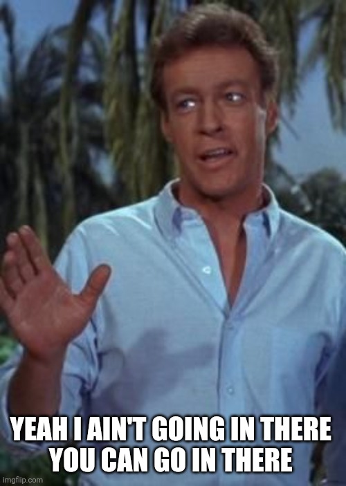 Professor hey dont be so formal | YEAH I AIN'T GOING IN THERE 
YOU CAN GO IN THERE | image tagged in professor hey dont be so formal | made w/ Imgflip meme maker