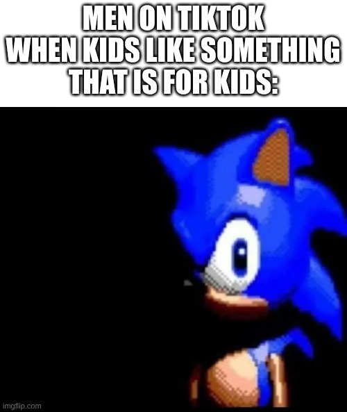 Image Title | MEN ON TIKTOK WHEN KIDS LIKE SOMETHING THAT IS FOR KIDS: | image tagged in sonic is pissed | made w/ Imgflip meme maker