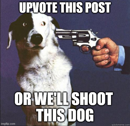 Will spot live? | UPVOTE THIS POST; OR WE'LL SHOOT 
THIS DOG | image tagged in shoot dog,upvote,memes,dog,gun,dog memes | made w/ Imgflip meme maker