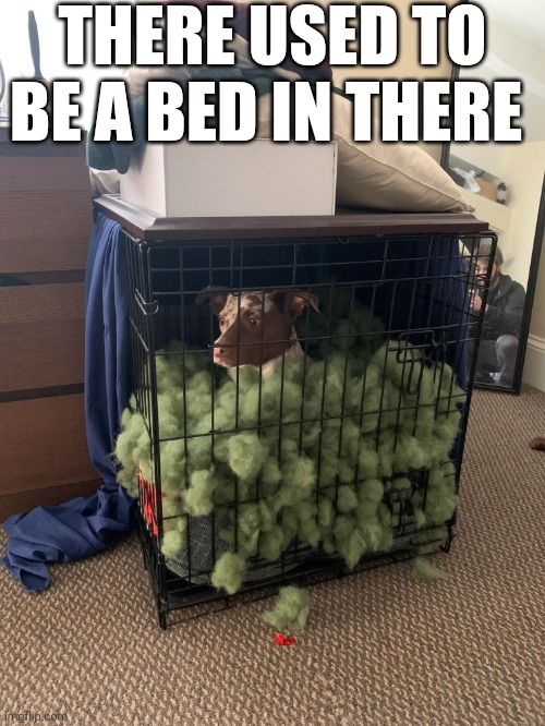 There Used To Be A Bed In There | THERE USED TO BE A BED IN THERE | image tagged in chrisjoines1 | made w/ Imgflip meme maker