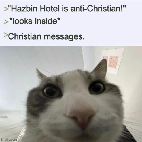 Cat looks inside | "Hazbin Hotel is anti-Christian!"; *looks inside*; Christian messages. | image tagged in cat looks inside,hazbin hotel | made w/ Imgflip meme maker