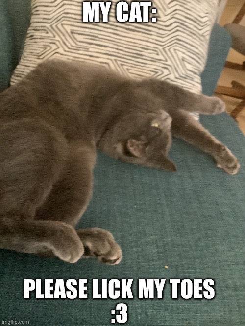 my cat is cringe. | MY CAT:; PLEASE LICK MY TOES
:3 | image tagged in cringe,cat,uwu | made w/ Imgflip meme maker