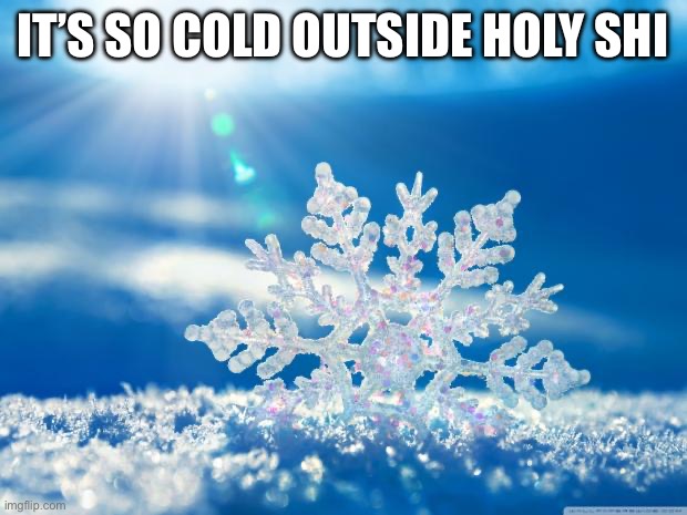 snowflake | IT’S SO COLD OUTSIDE HOLY SHI | image tagged in snowflake | made w/ Imgflip meme maker