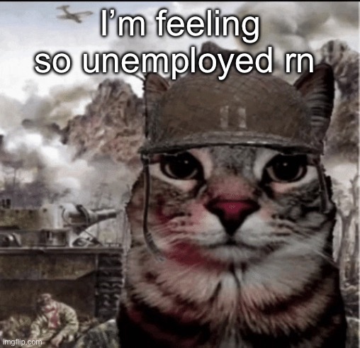 Thousand yard stare cat | I’m feeling so unemployed rn | image tagged in thousand yard stare cat | made w/ Imgflip meme maker