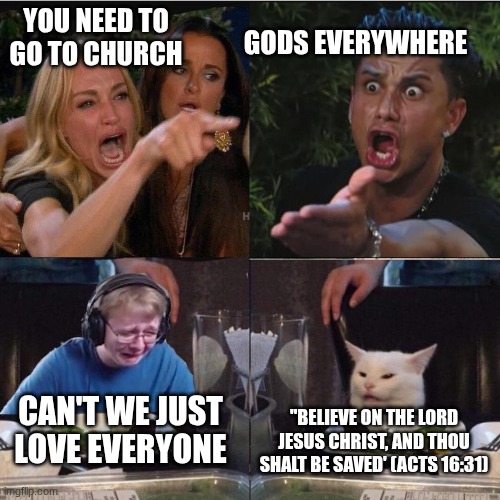 4 views | GODS EVERYWHERE; YOU NEED TO GO TO CHURCH; CAN'T WE JUST LOVE EVERYONE; "BELIEVE ON THE LORD JESUS CHRIST, AND THOU SHALT BE SAVED' (ACTS 16:31) | image tagged in four panel taylor armstrong pauly d callmecarson cat | made w/ Imgflip meme maker