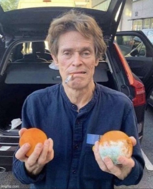 Willem Dafoe choice | image tagged in willem dafoe choice | made w/ Imgflip meme maker