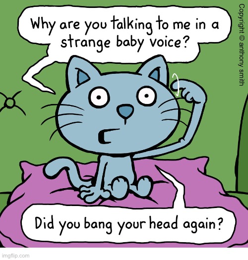 Cattitude | image tagged in cats,cattitude,comics | made w/ Imgflip meme maker