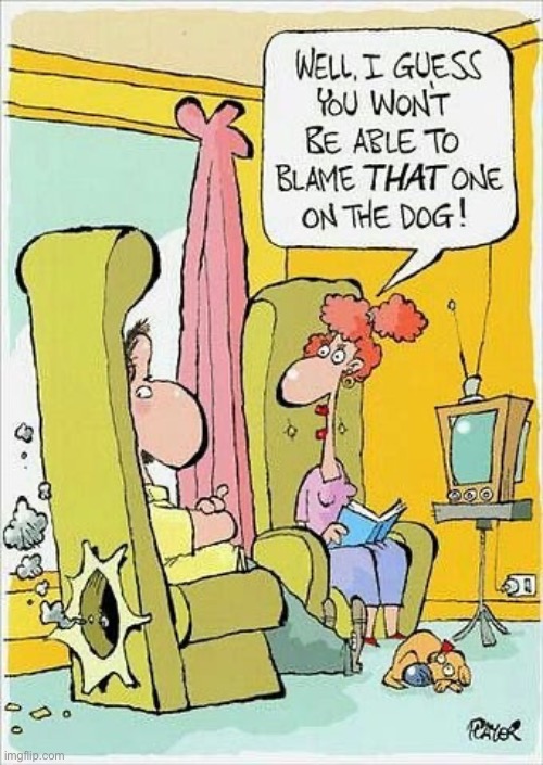 It must’ve been that bean that he ate for dinner… | image tagged in repost,fart,blowout,hole in chair,dog | made w/ Imgflip meme maker