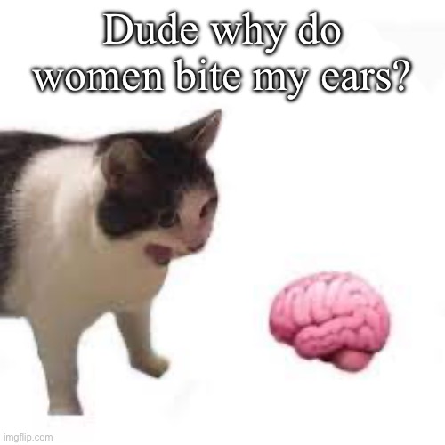 cat screaming at brain | Dude why do women bite my ears? | image tagged in cat screaming at brain | made w/ Imgflip meme maker
