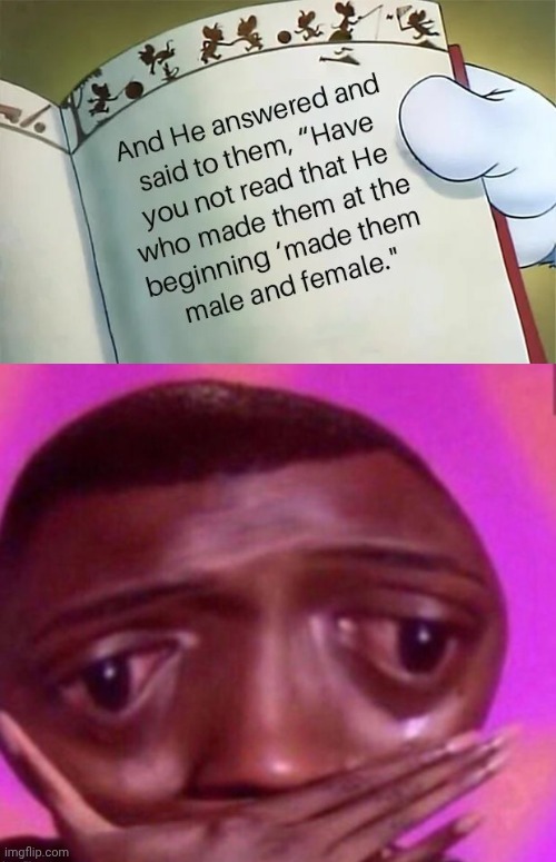 image tagged in omg | made w/ Imgflip meme maker