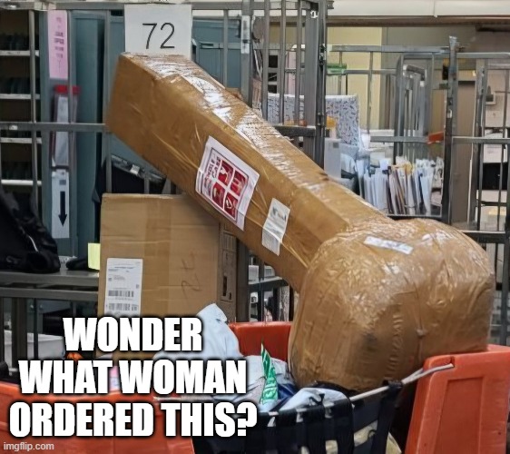 Large Package | WONDER WHAT WOMAN ORDERED THIS? | image tagged in adult humor | made w/ Imgflip meme maker