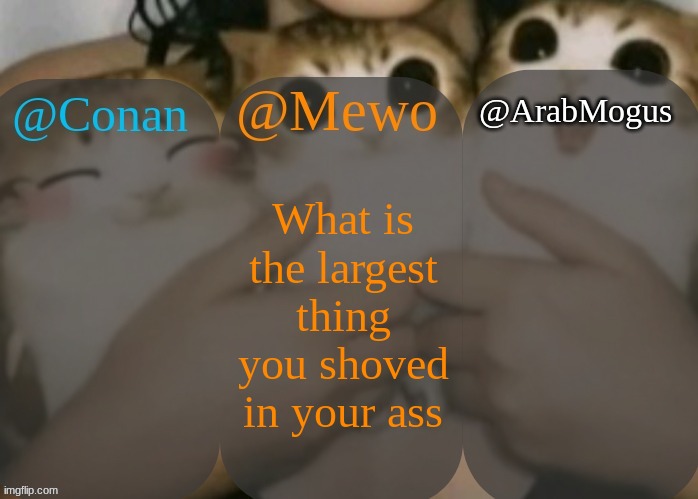 Conan, Mewo, Arabmogus shared template | What is the largest thing you shoved in your ass | image tagged in conan mewo arabmogus shared template | made w/ Imgflip meme maker