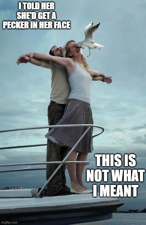 In the Face | I TOLD HER SHE'D GET A PECKER IN HER FACE; THIS IS NOT WHAT I MEANT | image tagged in sex jokes | made w/ Imgflip meme maker