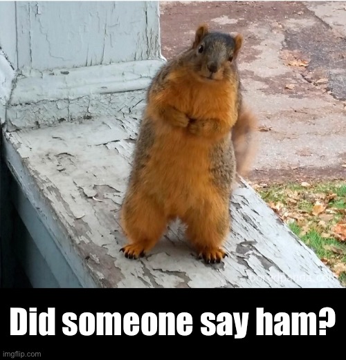 Did someone say ham? | made w/ Imgflip meme maker