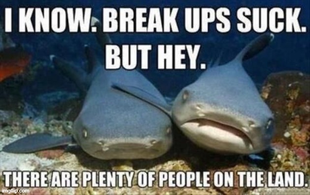 Plenty of People | image tagged in repost | made w/ Imgflip meme maker