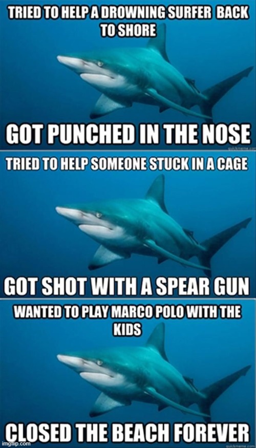 Shark Tales | image tagged in repost | made w/ Imgflip meme maker