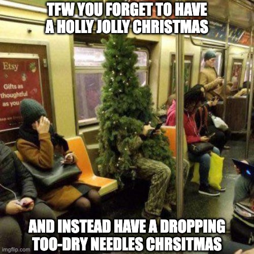 Merry Christmas | TFW YOU FORGET TO HAVE A HOLLY JOLLY CHRISTMAS; AND INSTEAD HAVE A DROPPING TOO-DRY NEEDLES CHRSITMAS | image tagged in tfw,christmas,xmas,christmas tree,subway | made w/ Imgflip meme maker
