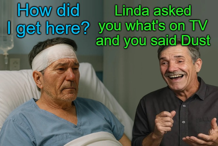 Linda asked you what's on TV
and you said Dust; How did I get here? | made w/ Imgflip meme maker