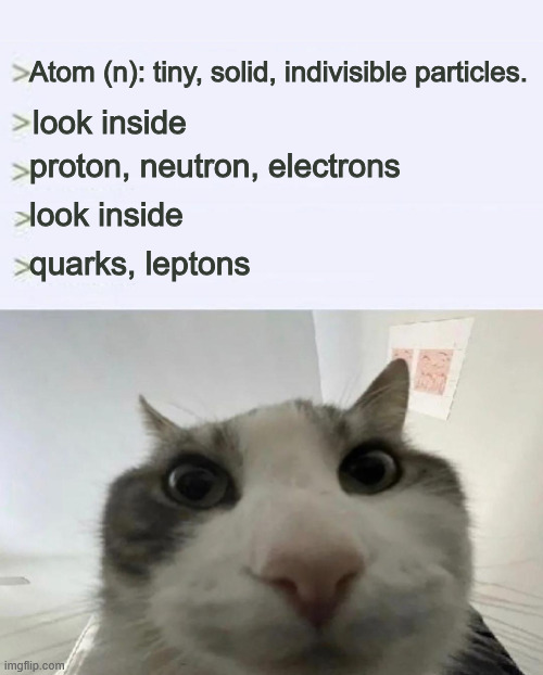 aToMs ArE tHe sMaLlEsT tHiNg | Atom (n): tiny, solid, indivisible particles. look inside; proton, neutron, electrons; look inside; quarks, leptons | image tagged in cat looks inside | made w/ Imgflip meme maker