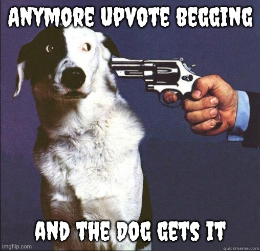 Shoot Dog | Anymore upvote begging and the Dog gets it | image tagged in shoot dog | made w/ Imgflip meme maker