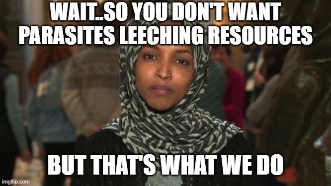 WAIT..SO YOU DON'T WANT PARASITES LEECHING RESOURCES BUT THAT'S WHAT WE DO | image tagged in ilhan omar | made w/ Imgflip meme maker