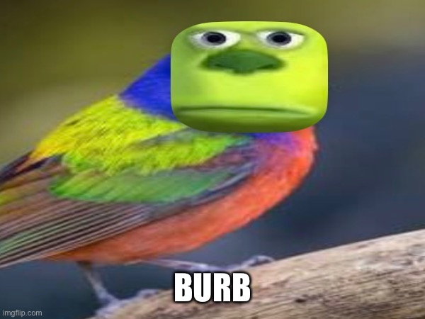 Burb | BURB | image tagged in burb | made w/ Imgflip meme maker