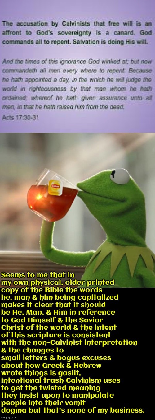Gaslit demonic manipulation into their vomit dogma | image tagged in kermit the frog,but that's none of my business,anti calvinism,calvinist memes,arminian,molinist | made w/ Imgflip meme maker