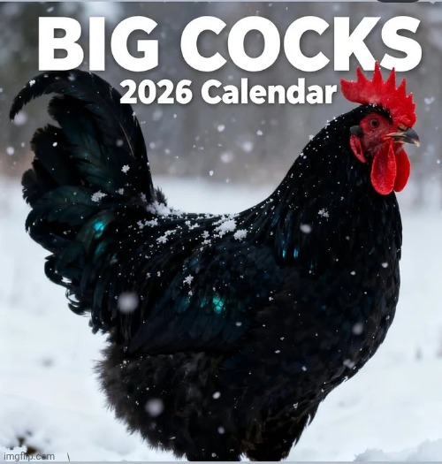 It's that time of year | image tagged in calendar,happy new year,plan ahead,counting the days,fun for all | made w/ Imgflip meme maker