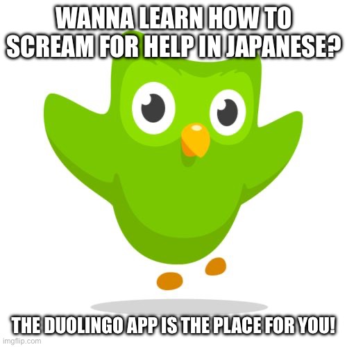 Use Duolingo! Yay! | WANNA LEARN HOW TO SCREAM FOR HELP IN JAPANESE? THE DUOLINGO APP IS THE PLACE FOR YOU! | image tagged in things duolingo teaches you | made w/ Imgflip meme maker