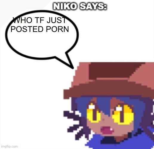 niko says | WHO TF JUST POSTED PORN | image tagged in niko says | made w/ Imgflip meme maker