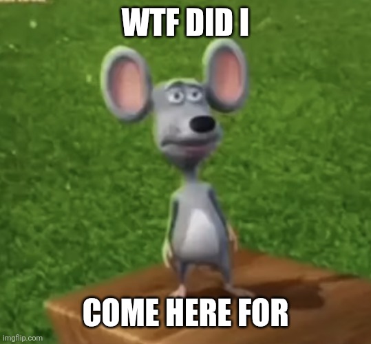 Wtf did I just here right now | WTF DID I COME HERE FOR | image tagged in wtf did i just here right now | made w/ Imgflip meme maker